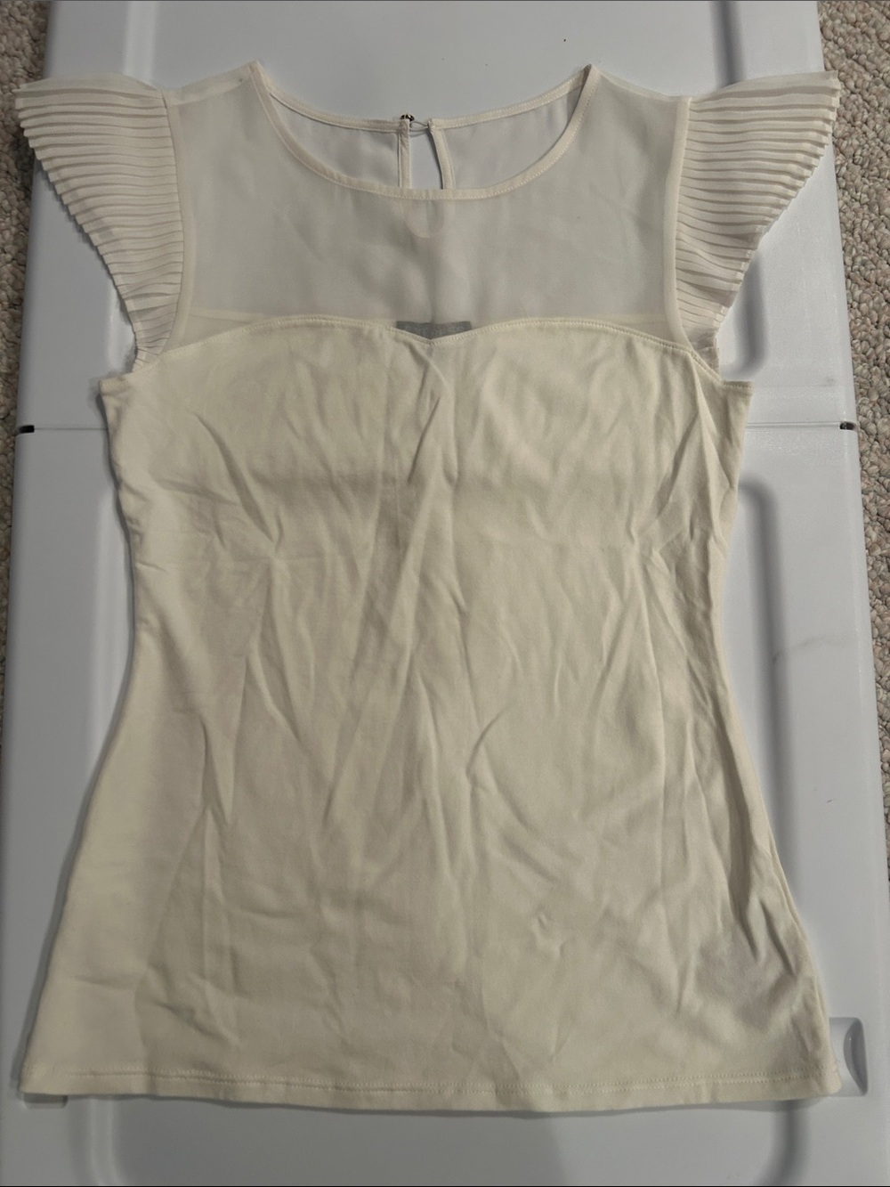 Express Cream Sheer Yoke Pleated Cap Sleeve Top
